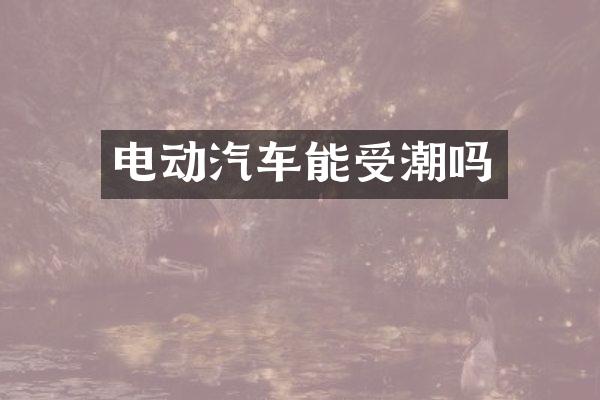 电动汽车能受潮吗