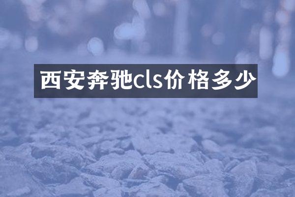 西安奔驰cls价格多少