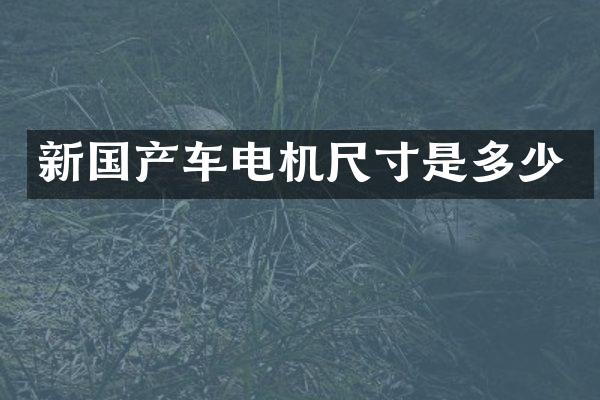 新国产车电机尺寸是多少