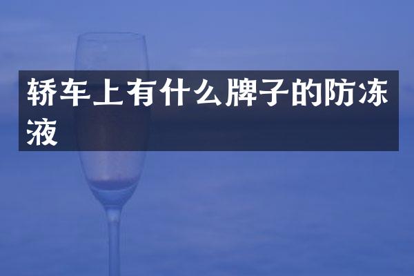 轿车上有什么牌子的防冻液