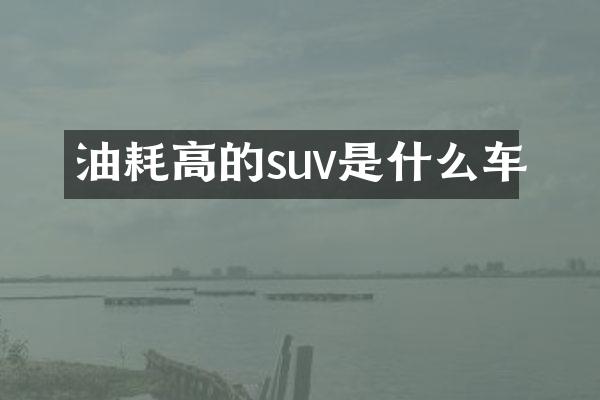 油耗高的suv是什么车
