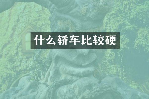 什么轿车比较硬