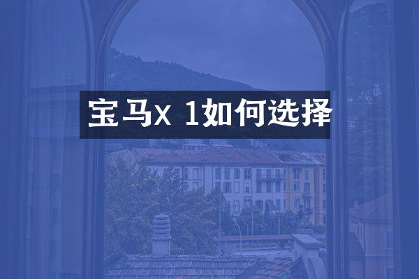 宝马x 1如何选择