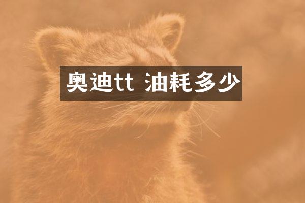 奥迪tt 油耗多少