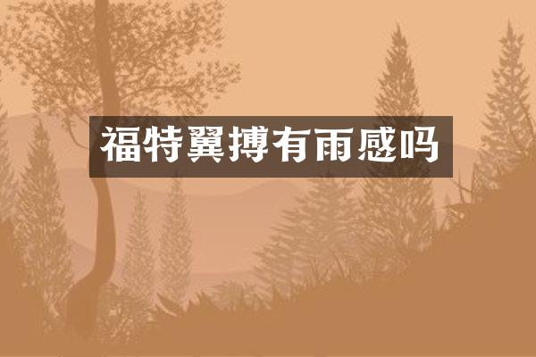 福特翼搏有雨感吗