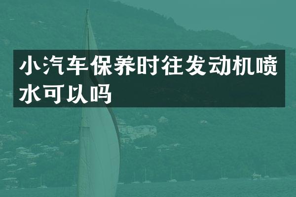 小汽车保养时往发动机喷水可以吗