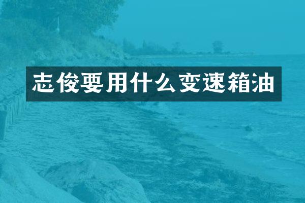 志俊要用什么变速箱油