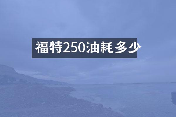 福特250油耗多少