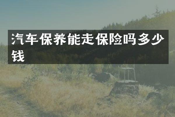 汽车保养能走保险吗多少钱