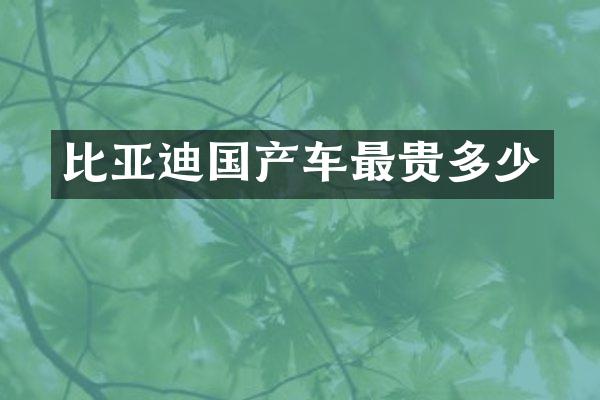 比亚迪国产车最贵多少