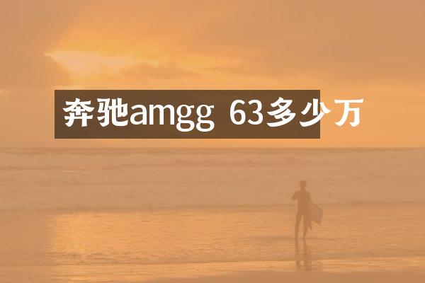奔驰amgg 63多少万