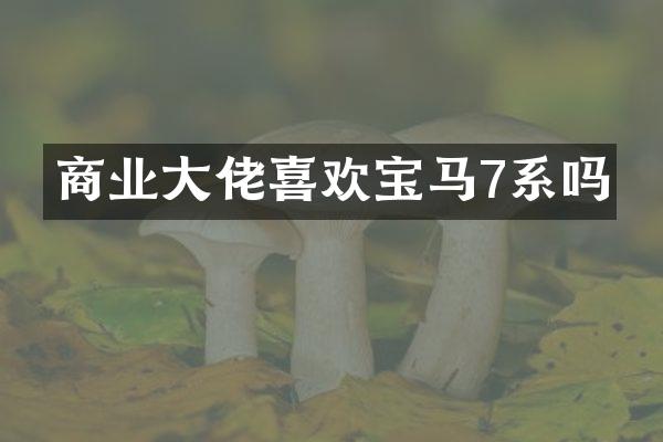 商业大佬喜欢宝马7系吗