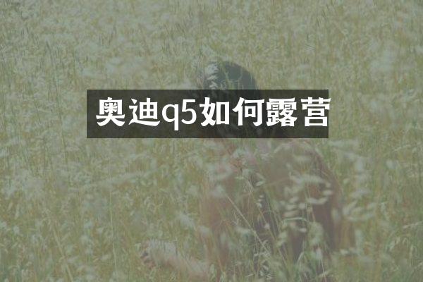 奥迪q5如何露营