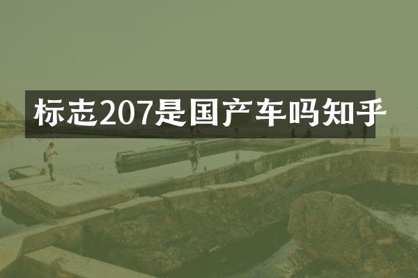 标志207是国产车吗知乎