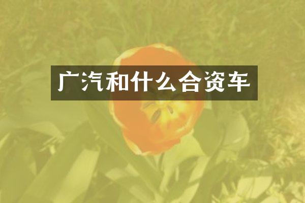 广汽和什么合资车