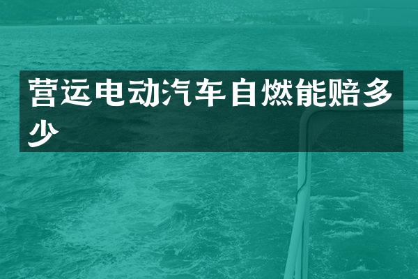 营运电动汽车自燃能赔多少