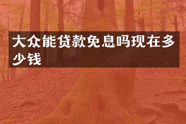 大众能贷款免息吗现在多少钱