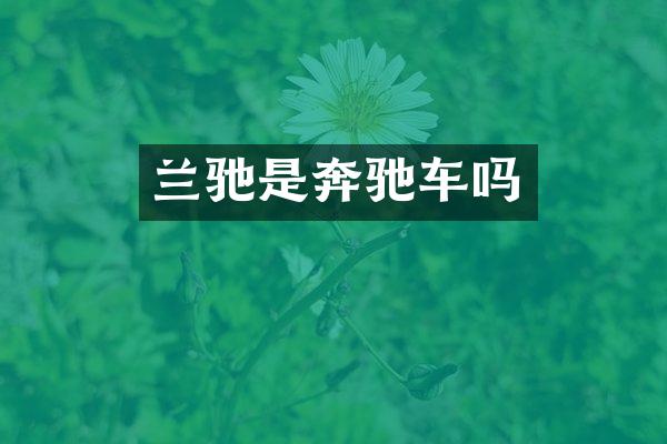 兰驰是奔驰车吗