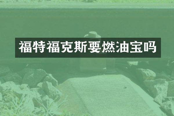 福特福克斯要燃油宝吗