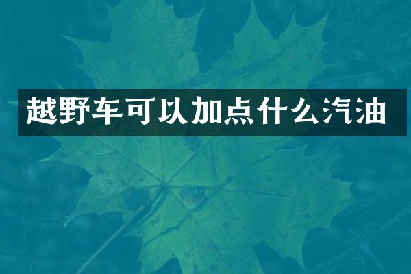 越野车可以加点什么汽油