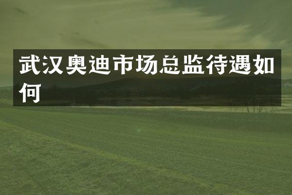武汉奥迪市场总监待遇如何