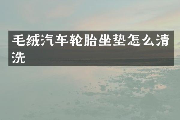 毛绒汽车轮胎坐垫怎么清洗