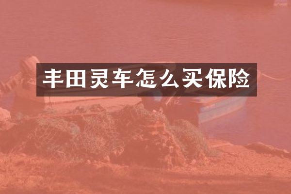 丰田灵车怎么买保险