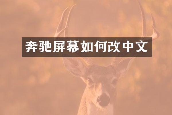 奔驰屏幕如何改中文