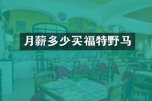 月薪多少买福特野马