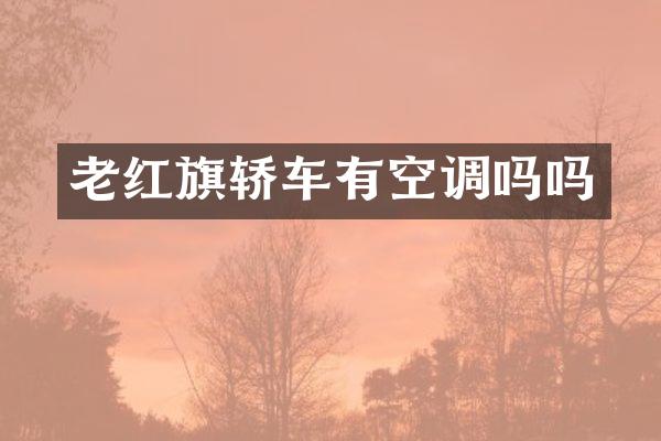 老红旗轿车有空调吗吗