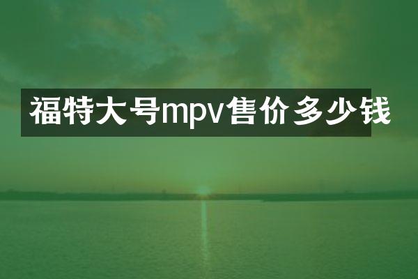 福特大号mpv售价多少钱