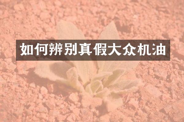 如何辨别真假大众机油