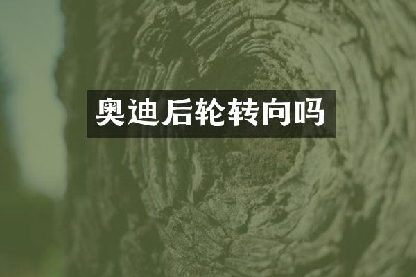 奥迪后轮转向吗