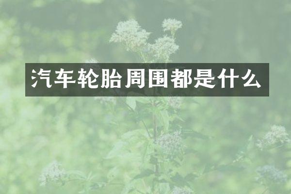 汽车轮胎周围都是什么