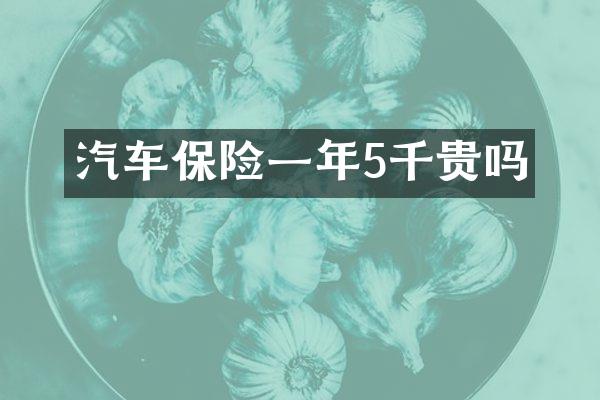 汽车保险一年5千贵吗