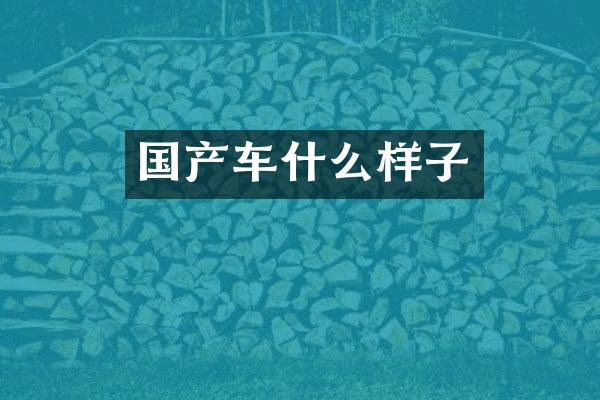 国产车什么样子