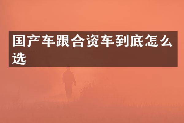 国产车跟合资车到底怎么选
