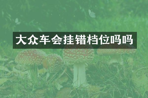 大众车会挂错档位吗吗