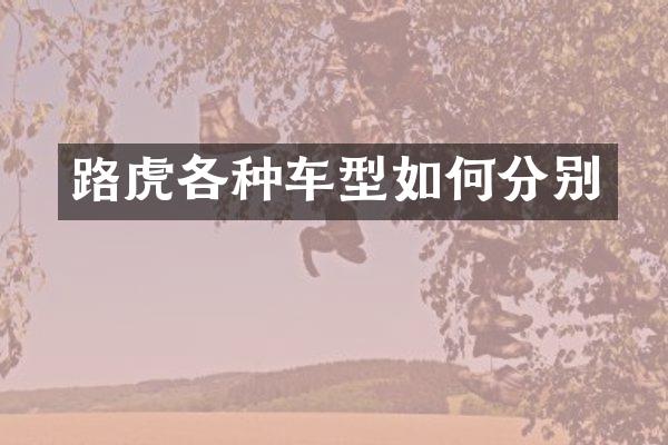 路虎各种车型如何分别
