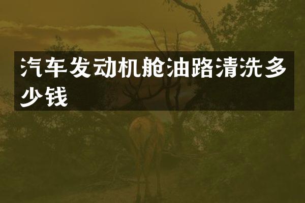 汽车发动机舱油路清洗多少钱