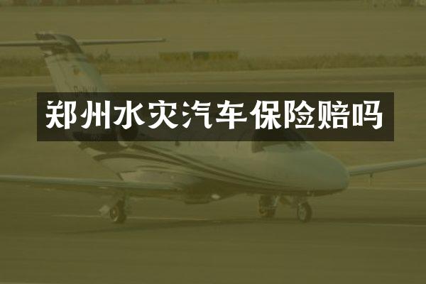 郑州水灾汽车保险赔吗