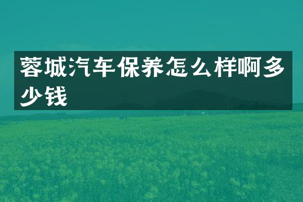 蓉城汽车保养怎么样啊多少钱