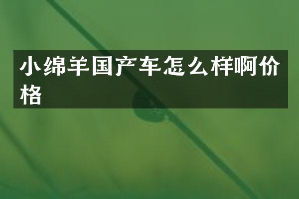 小绵羊国产车怎么样啊价格