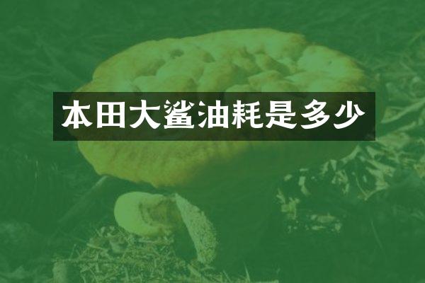 本田大鲨油耗是多少