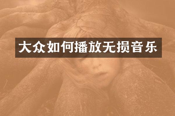 大众如何播放无损音乐