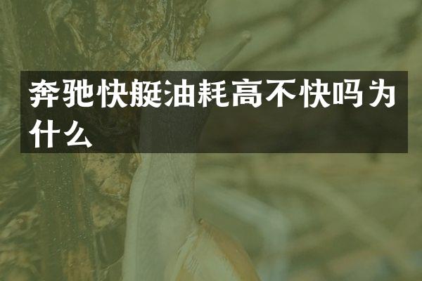 奔驰快艇油耗高不快吗为什么