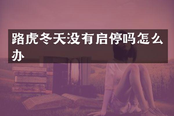 路虎冬天没有启停吗怎么办