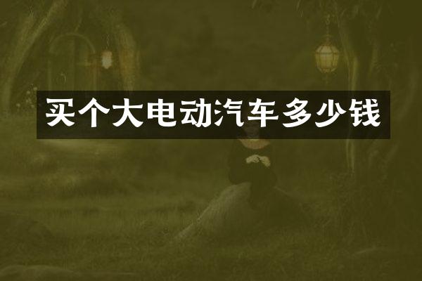 买个大电动汽车多少钱