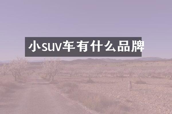 小suv车有什么品牌