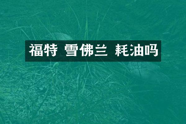 福特 雪佛兰 耗油吗